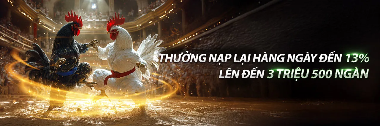 Đá gà trực tuyến 8VND kịch tính