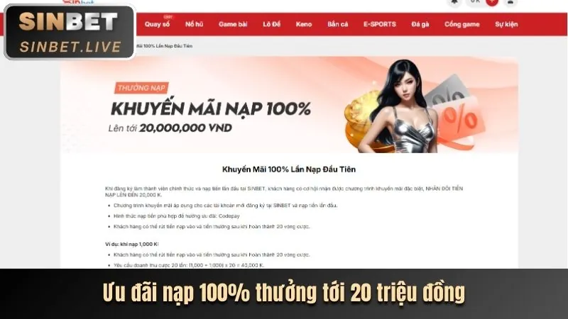 Các chương trình khuyến mãi hấp dẫn tại 8VND